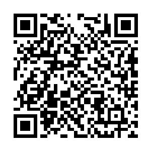 在仙界都是未成仙的那些修行者会把仙米当主食吃二维码生成