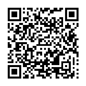 在任何一支球队担任核心支柱的球员往往都是这个年龄段的二维码生成