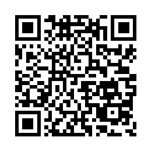 在元婴大会上要讨论的肯定不止他这一个项目二维码生成