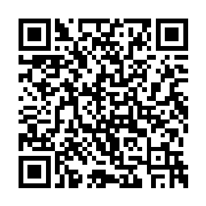 在先前的对战里表现出来的战斗力实在太过可怕二维码生成