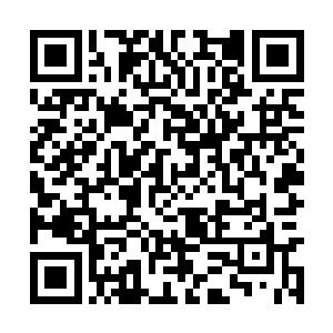 在兜率宫大门处的金角道童和银角道童看到霍君白二维码生成