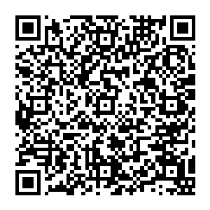 在关于杜双余安排公安局的同志对卞加酉上访事件中采取非法手段致使卞加酉受伤致残和违规拘留一事上二维码生成