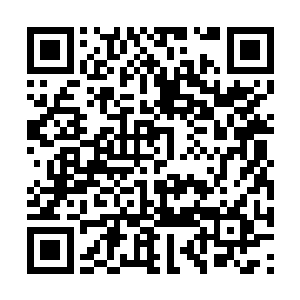 在内心的伸出她是希望秦宇能够知道一切的真相的二维码生成