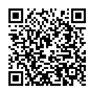 在别墅内守着的跟班张贵一见到楚中元这鼻青脸肿二维码生成