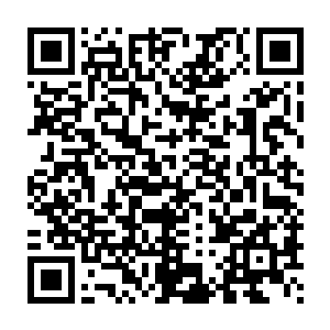 在剑尘体内那能改变他们两人气息的水灵珠也在轻微的抖动了起来二维码生成