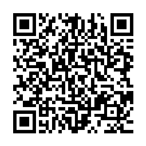 在北方要塞他就知道秦皇国之所以来帮助他们格森王国渡过难关二维码生成