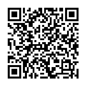 在半个月尸体被发现在距离江市一百多公里的山里二维码生成