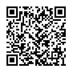 在卡萝竞技场上往往是其他种族解决私怨的地方二维码生成