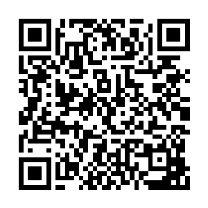 在县乡两级行政机构里没有这样的机关单位编制二维码生成