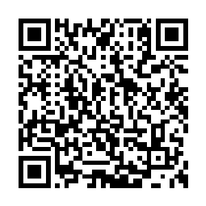 在听到她将灵草炼制完后都是一副活见鬼的表情二维码生成