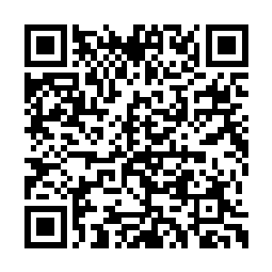 在场的帝尊境们竟没一个认得这到底是什么东西二维码生成