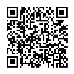 在场的每一个人都是莫名其妙疑惑的看着这一幕二维码生成