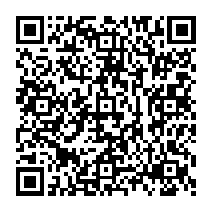 在垆头机场完成移交暨宋州机场集团公司正式成立的仪式上陆为民就接到了刘斌的电话二维码生成
