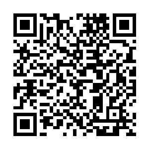 在她指到一颗竟在枝头挂满黄灿灿的菠萝的大树的时候二维码生成