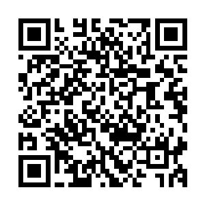 在她晕倒的时候体内风灵力其实就已经积攒到第一境界巅峰了二维码生成