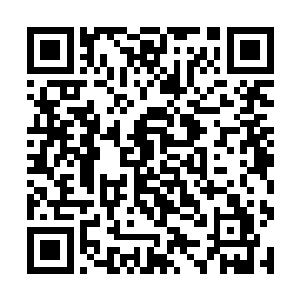 在它还没有成长到可以和你沟通并和你魂魄相连之前二维码生成