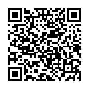 在小区对面的奶茶店里已经等得不耐烦的赵家父子俩二维码生成