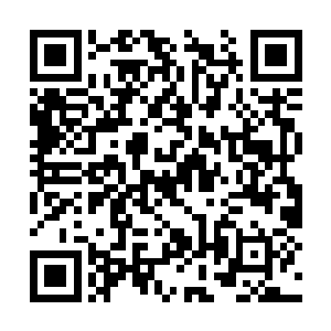 在小青的威压下他们不得不将所有的实力用了出来二维码生成