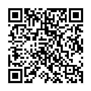 在少女们还在感叹的时候耳边突然响起了一句杀伤力强大的话语二维码生成