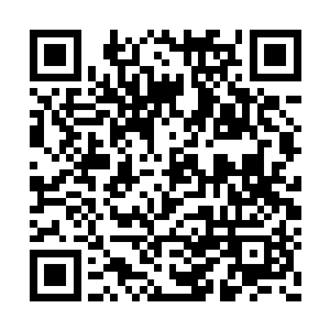 在师丝桐和那暗金色巨钟再次消失在巨峰表明后二维码生成