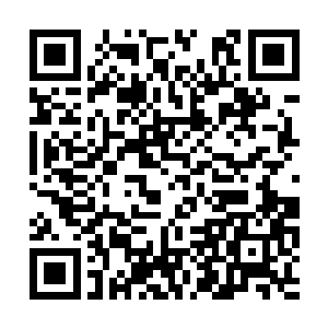 在张大嘴巴的男同学和瞪大眼睛的女同学的注视下二维码生成