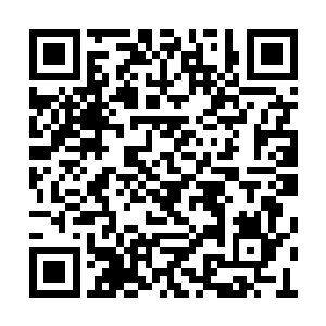 在很远的地方偶尔可以看到一些门客在寻找传承二维码生成