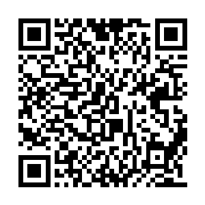 在意识海中轻轻地摸了摸小心灵受到创伤的小四二维码生成