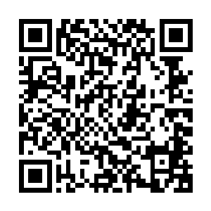 在我们承接的这次珠宝拍卖会遭到劫匪袭击以后的正当防卫反应二维码生成