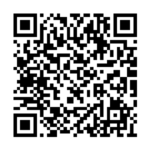 在我的身后巨大的龙气汇聚而成的银白色的光弹二维码生成