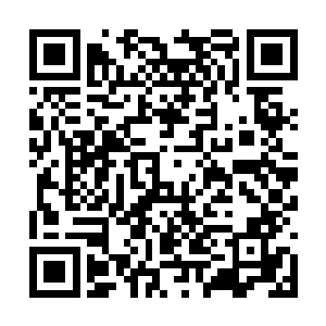 在无为尊者那里叶尊同样感受到了一种大自在剑道二维码生成
