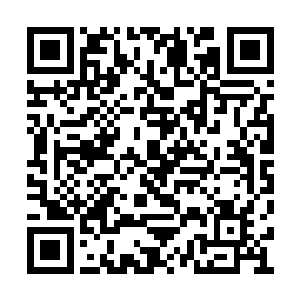 在早晨的树荫舒下杰西卡迷迷糊糊的进入了梦乡二维码生成