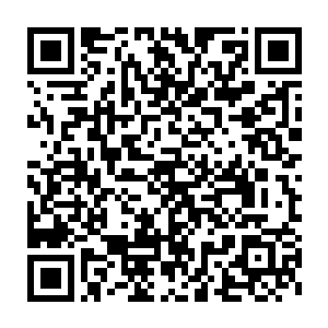 在星空集团游戏线下游戏推广人员的帮助下进入游戏也不是件难事儿二维码生成