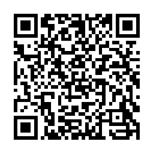 在最善于造势的金甲卫士们众志成城的呼吁和影响下二维码生成