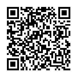 在桃林中嬉笑的韩淇墨正与君昊霖几人说着什么二维码生成