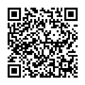 在梓箐的勤奋修炼下短短半年时间就从三级提升到了四级二维码生成