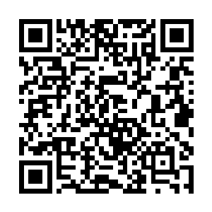 在森林里取得的优势能有效削弱异兽在森林外的攻势二维码生成