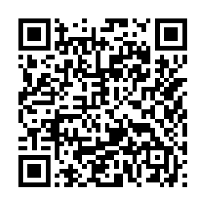 在楚暮和秦山河以及血sè荒原上活动的生灵们眼中二维码生成