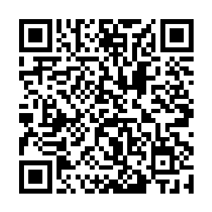 在此基础上组织开展双边或多边经贸和投资交流活动二维码生成