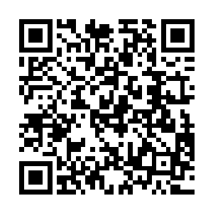 在残酷的生存竞争中有更多不适应变化的基因被淘汰掉二维码生成