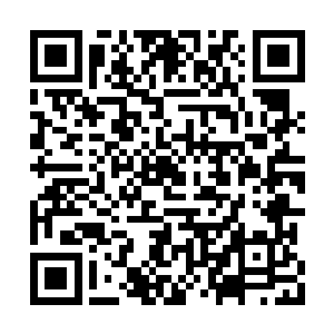 在比赛刚开始时他看到陈诚这一把选了个发条时二维码生成