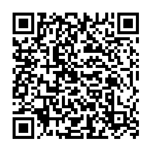 在江少游要拍的那三块原石的投标箱里投入一个天价的暗标价格来二维码生成