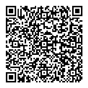在沙发上查看起原本游戏背包和藤编手提箱变成的面板最后的包裹面板和附属包裹面板墨墨任务失败杀了王子被扣除了一根黑狼毛二维码生成
