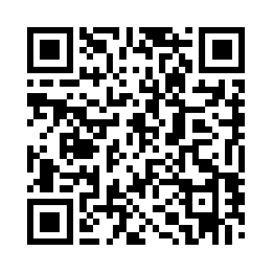 在沙滩上捡了两颗比较圆的沙砾扔了进去二维码生成