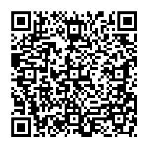 在泥土中 如鱼在大海中 能够完全隐匿自己的气息 只要不动弹 无人能够发现二维码生成