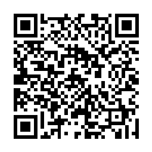 在澹台玥本能般的飞速后退离开骏马之际一个翩然落下二维码生成