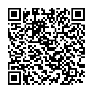 在熔火灵脉的外围开始缓缓的吸收这些熔火灵脉逸散出来的浓郁灵气二维码生成