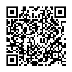 在玉书仙人郑重和流墨墨他们说明会暂时停下几日去整顿调查二维码生成