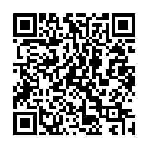在用五首歌轰下了中国之声周点播榜前十名的五个席位之后二维码生成