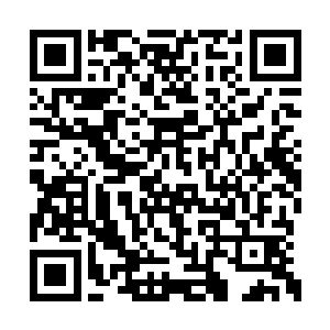 在看到叶秋不高兴的神情之后立刻严肃的了神色二维码生成