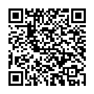 在离开昌州返回南潭之前陆为民也还和沈子烈通过电话二维码生成
